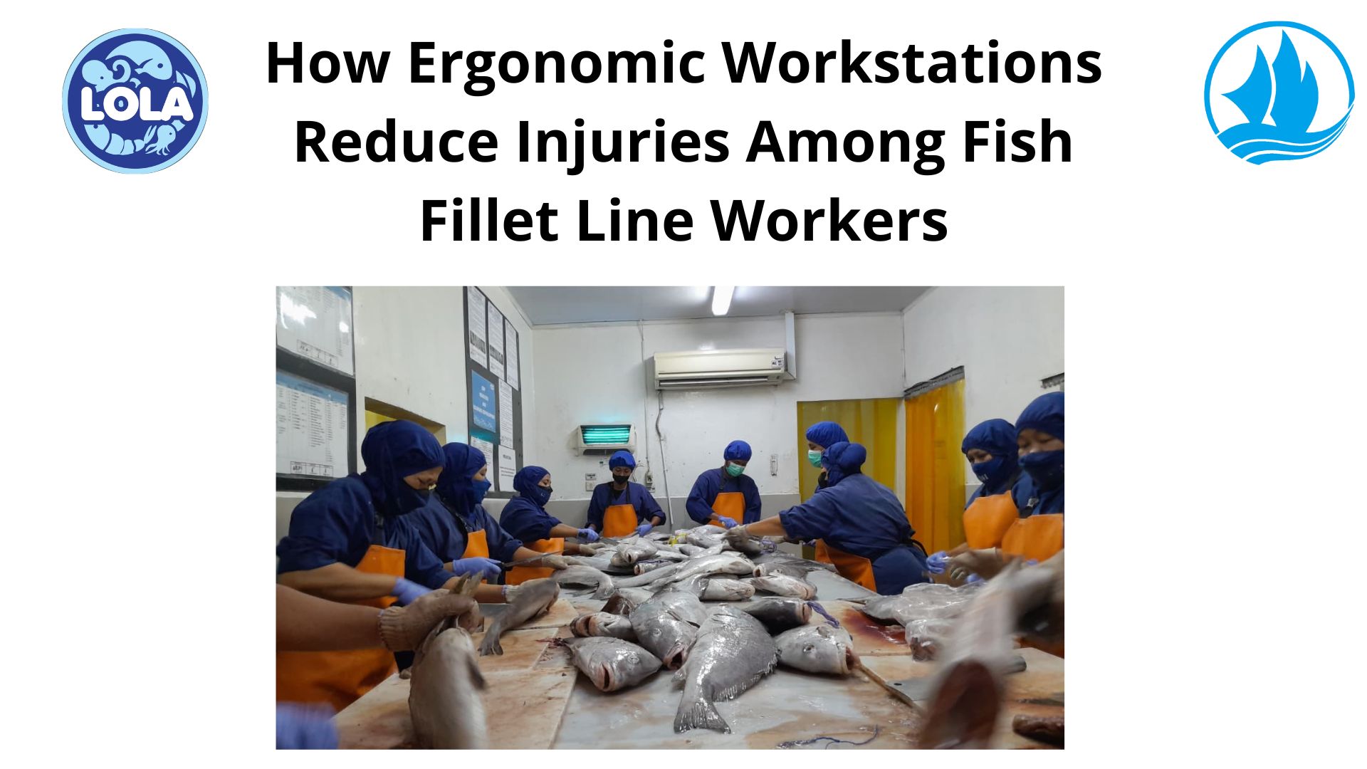   How Ergonomic Workstations Reduce Injuries Among Fish Fillet Line Workers